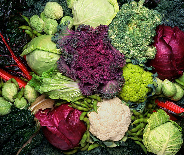 Grouping of cruciferous vegetables A bed of nutritious vegetbles. cabbage stock pictures, royalty-free photos & images