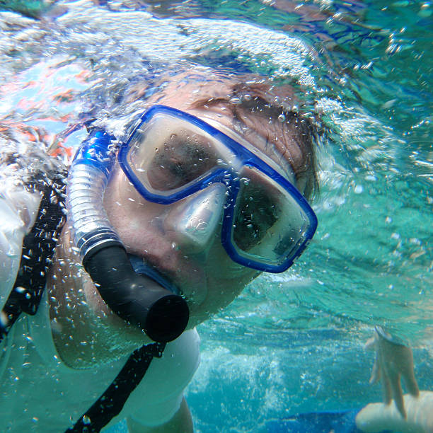 istock Snorkeler with mask and snorkel. 157439390