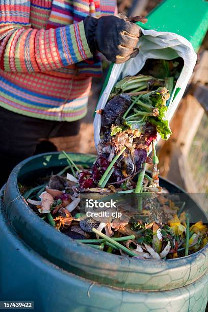 El Compostaje De Los Residuos De Cocina Foto de stock y más banco de imágenes de Basura - Basura, Alimento, Orgánico