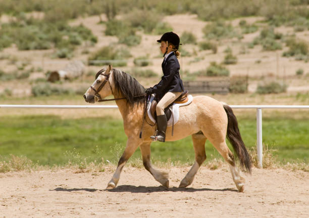 young cowgirl on white horse
