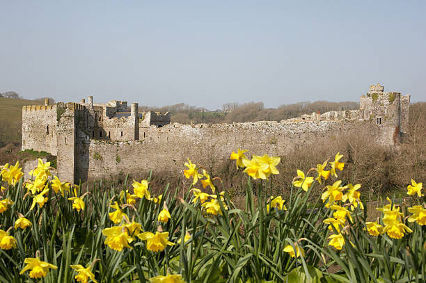 manorbier замок пембрукшир желтый - the ramparts стоковые фото и изображения