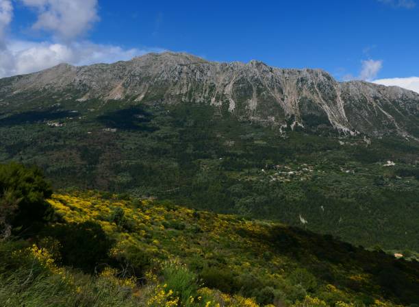 istock Broom in front of Mount Stavrota, Lefkada, Greece 1574397211