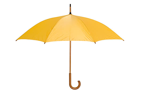 istock A single opened yellow umbrella on a white background 157439770
