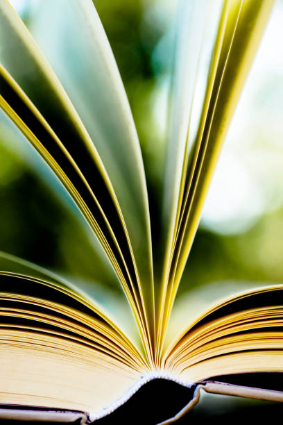 istock Book close up, outdoors 157439813