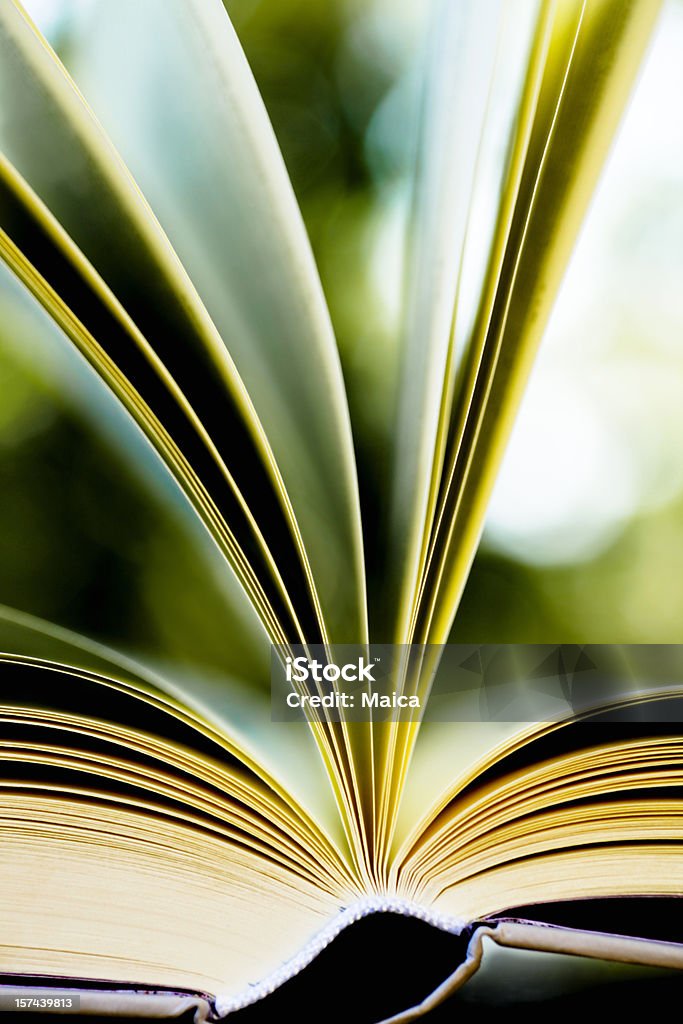 Reserve close-up, ao ar livre - Foto de stock de Livro royalty-free