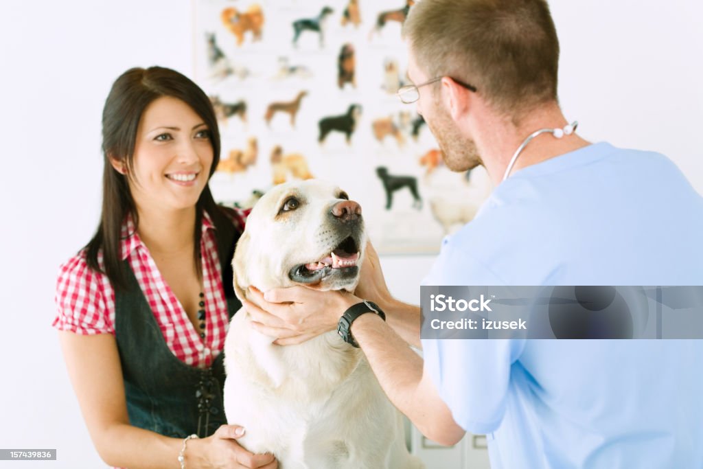 Tierarzt mit Hund und Besitzer - Lizenzfrei Tierarzt Stock-Foto