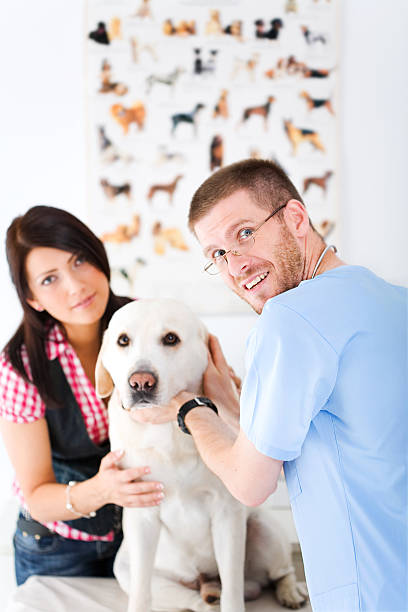 istock Vet With Dog And Owner 157439929