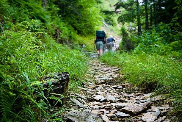 Hikers hiking uphill on trail in the Smoky Mountains Hikers on a trail in the Smoky Mountains appalachian trail photos stock pictures, royalty-free photos & images