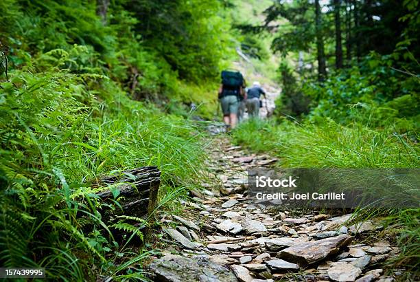 Szlaki Piesze Wycieczki Pod Górę Wzniesienia Na Szlaku W Gór Smoky Mountains - zdjęcia stockowe i więcej obrazów Park Narodowy Great Smoky Mountains