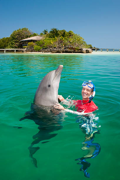 istock Vacation Lifestyles-Man Swimming with Dolphin 157440334