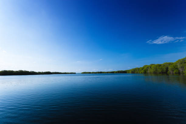 Low key image of a Tropical coastal lagoon with mangroves. Relaxing images of travel and leisure related vacation themes for vacations in the Caribbean. Image taken at Morrocoy National Park, Venezuela. Morrocoy is a coastline and a group of small islands and cays located at Falcon State in Venezuela. A very popular destination for leisure, diving, kite surfing and all kind of water activities. Morrocoy and the beauty of the turquoise coastal beaches of Venezuela are almost indistinguishable from those of the Bahamas, French Polynesia, Malau, Hawaii, Cancun, Costa Rica, Florida, Maldives, Cuba, Fiji, Bora Bora,  Puerto Rico, Honduras, or other tropical vacation travel destinations.