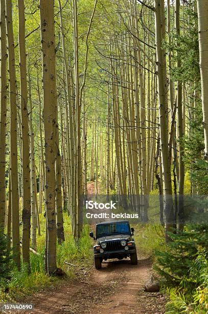 Jeep W Aspens - zdjęcia stockowe i więcej obrazów 4x4 - 4x4, Samochód terenowy, Las