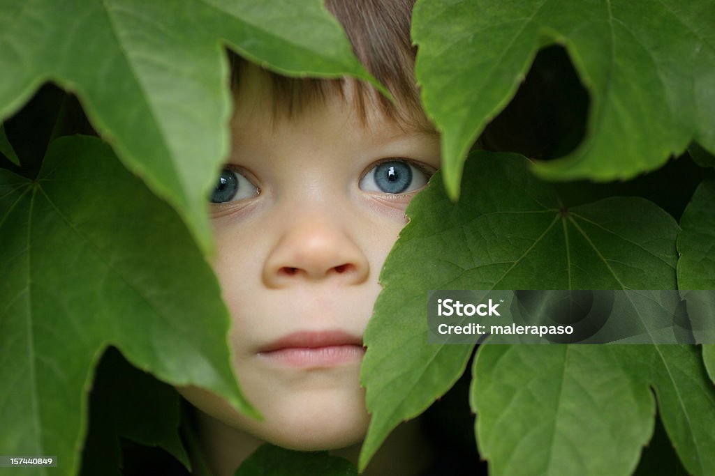 Enfant dans les feuilles - Photo de Yeux bleus libre de droits
