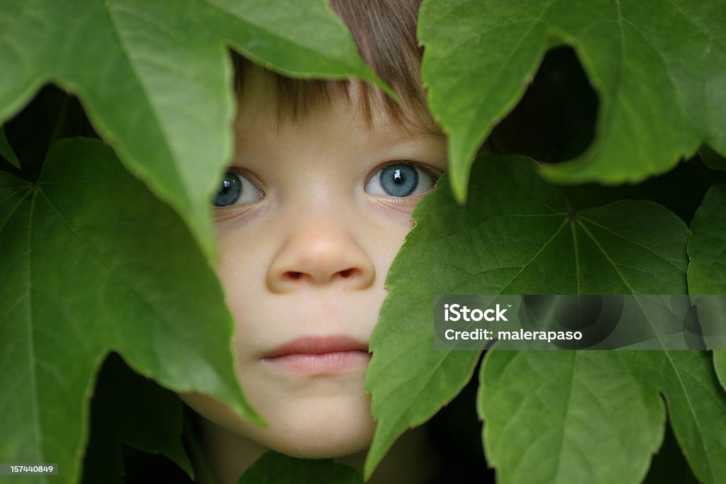 Bambino tra le foglie - Foto stock royalty-free di Occhi azzurri