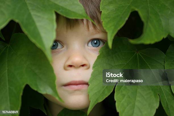 Bambino Tra Le Foglie - Fotografie stock e altre immagini di Occhi azzurri - Occhi azzurri, 2-3 anni, Ambiente