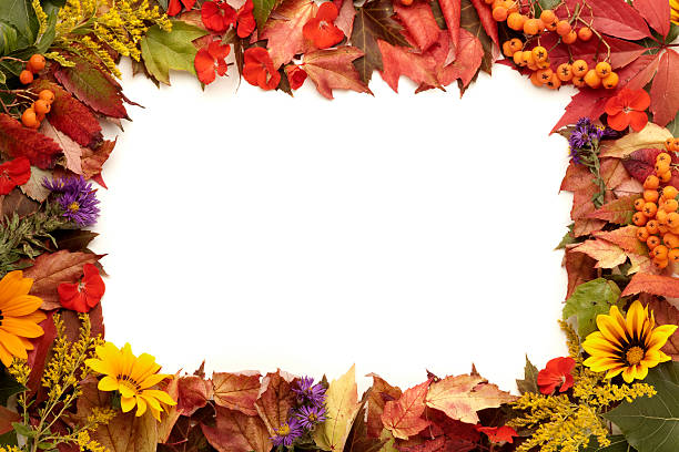istock Natural Colors Autumn Frame With Leaves, Flowers, Berries 157440885