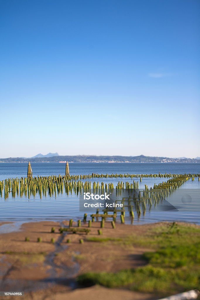 Shoreline of the Columbia  Beauty In Nature Stock Photo