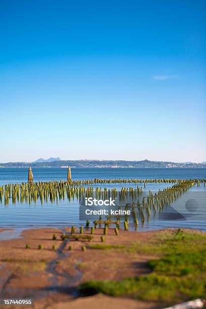 Shoreline Of The Columbia Stock Photo - Download Image Now - Beauty In Nature, Blue, Coastline