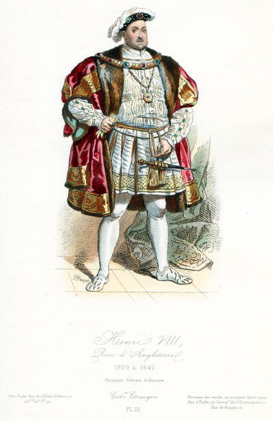 król henryk viii - tudor style illustrations stock illustrations