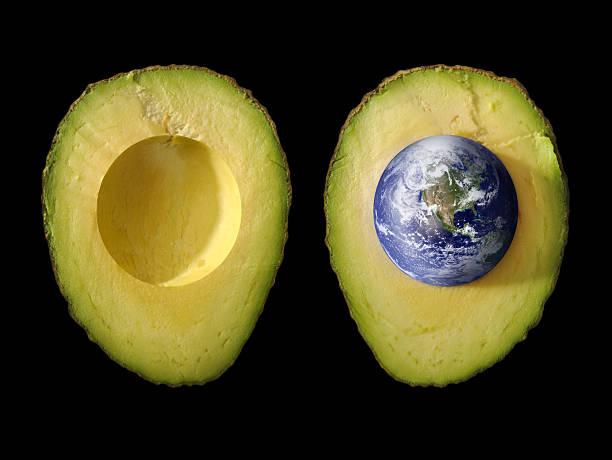 «зерно жизни»; планета земля как ямка в зеленый авокадо - avocado portion fruit isolated стоковые фото и изображения