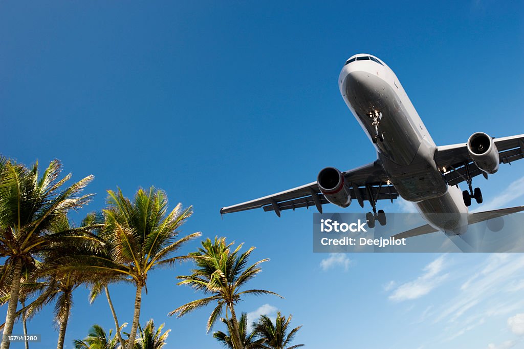 Aereo atterra superando palme - Foto stock royalty-free di Aeroplano