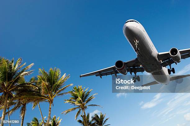 Aereo Atterra Superando Palme - Fotografie stock e altre immagini di Aeroplano - Aeroplano, Vacanze, Volare