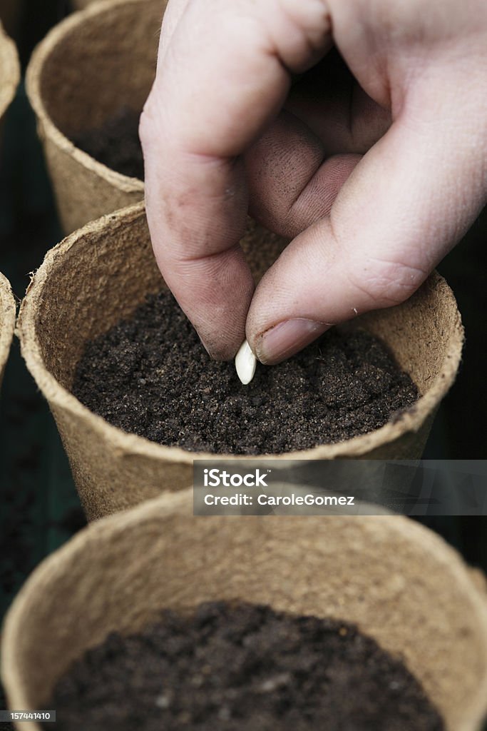 Plantación de semillas - Foto de stock de Sembrar libre de derechos