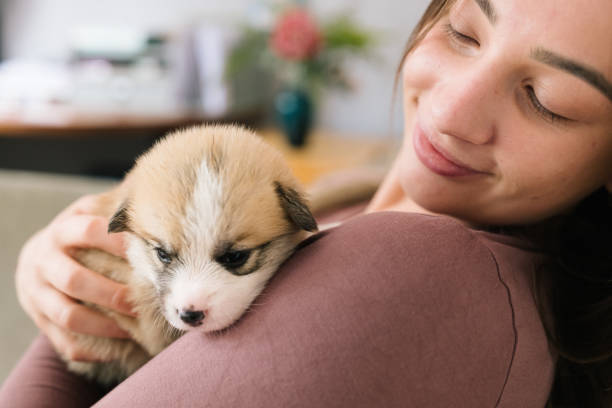 istock young woman has fun with a three weeks old Pembroke welsh corgi puppy 1574415771