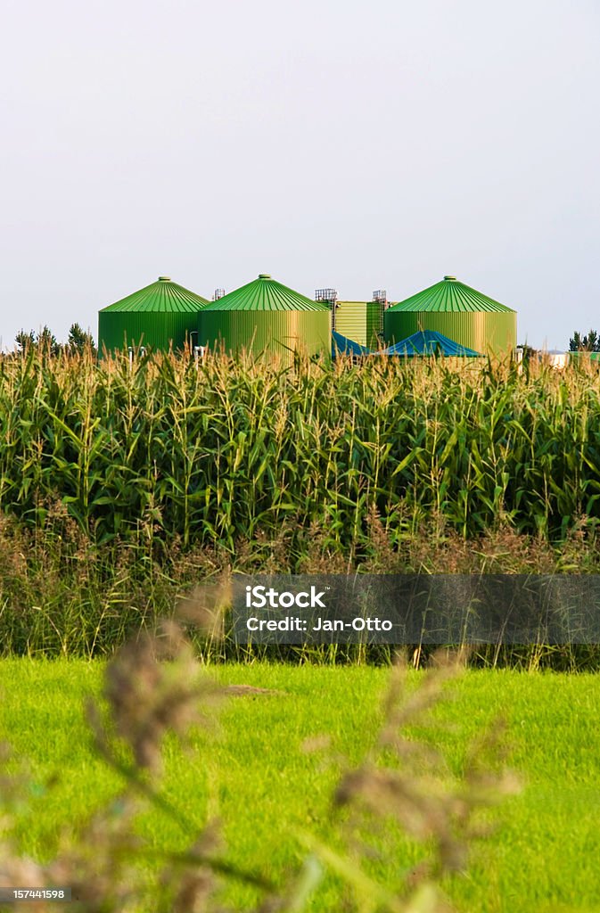 Biogas Plant A green biogas plant. In front a corn field for the biogas-manufacturing. Focus on plant. XL size image. Camera: EOS 1Ds Mark 2 with Canon 70-200mm /2,8 L USM Lens. Biology Stock Photo