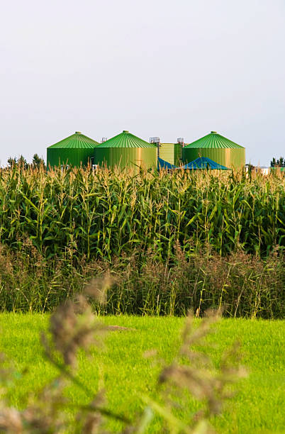 Biogas Plant A green biogas plant. In front a corn field for the biogas-manufacturing. Focus on plant. XL size image. Camera: EOS 1Ds Mark 2 with Canon 70-200mm /2,8 L USM Lens. biology class stock pictures, royalty-free photos & images