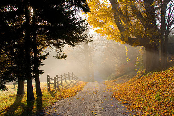 country road en otoño - berkshire hills fotografías e imágenes de stock