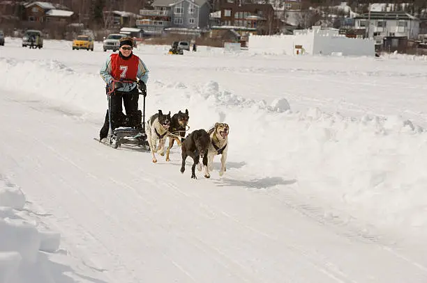 A woman in a dogsled race in Canada's Arctic.  Click to view similar images.