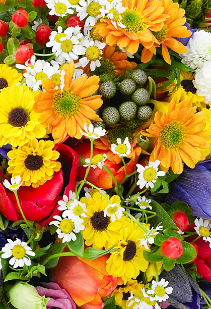 Flowers background.
