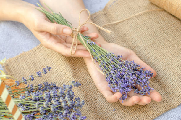 istock Bouquet of fresh lavender in female hands, selective focus. Fresh lavender flowers. 1574422833