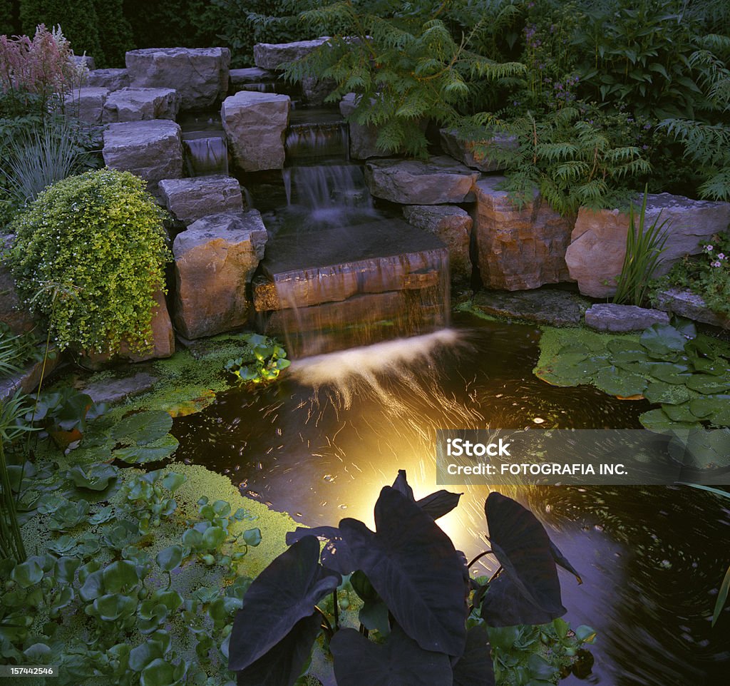 Garden ночью - Стоковые фото Задний или передний двор роялти-фри