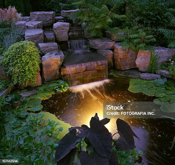 Garden Ночью — стоковые фотографии и другие картинки Задний или передний двор - Задний или передний двор, Ночь, Формальный сад