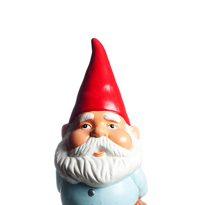 A squared portrait view of a cute and proud garden gnome, with a red cone hat and a white beard, isolated on white. Ideal for conveying any luck / gardening related concept.