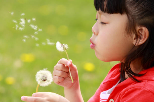 istock lovely asian girl 157443294