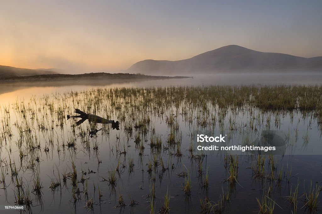 Loch Droma o świcie - Zbiór zdjęć royalty-free (Jezioro)