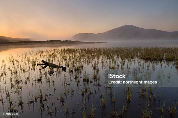 Loch Droma O Świcie - zdjęcia stockowe i więcej obrazów Jezioro - Jezioro, Mgła, Pniak