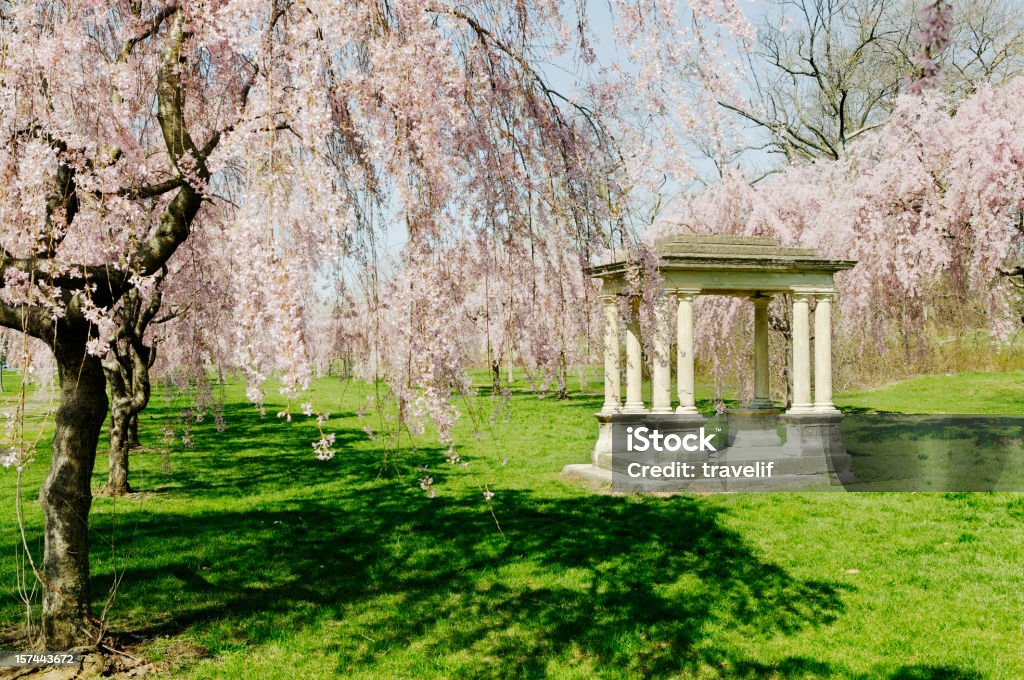 Gazebo in blooming sakura alley - Philadelphia 'Spring signs' lightbox: Beauty In Nature Stock Photo