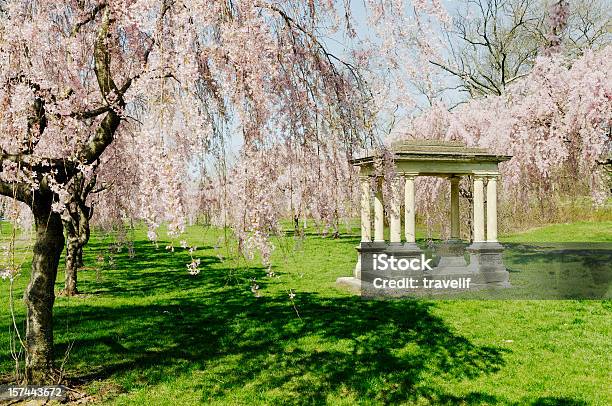 Gazebo In Blooming Sakura Alley Philadelphia Stock Photo - Download Image Now - Beauty In Nature, Blossom, Branch - Plant Part