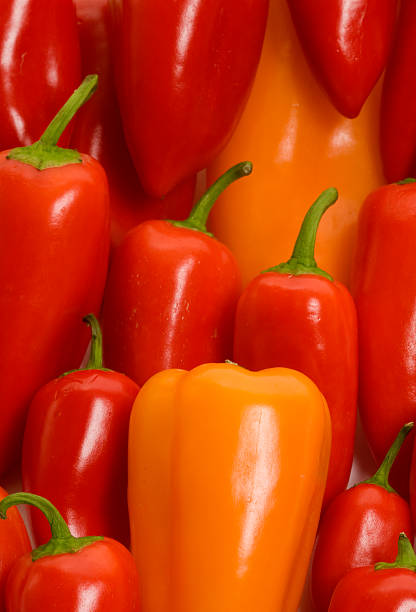 istock Assortment of red and orange mini chili peppers 157443726