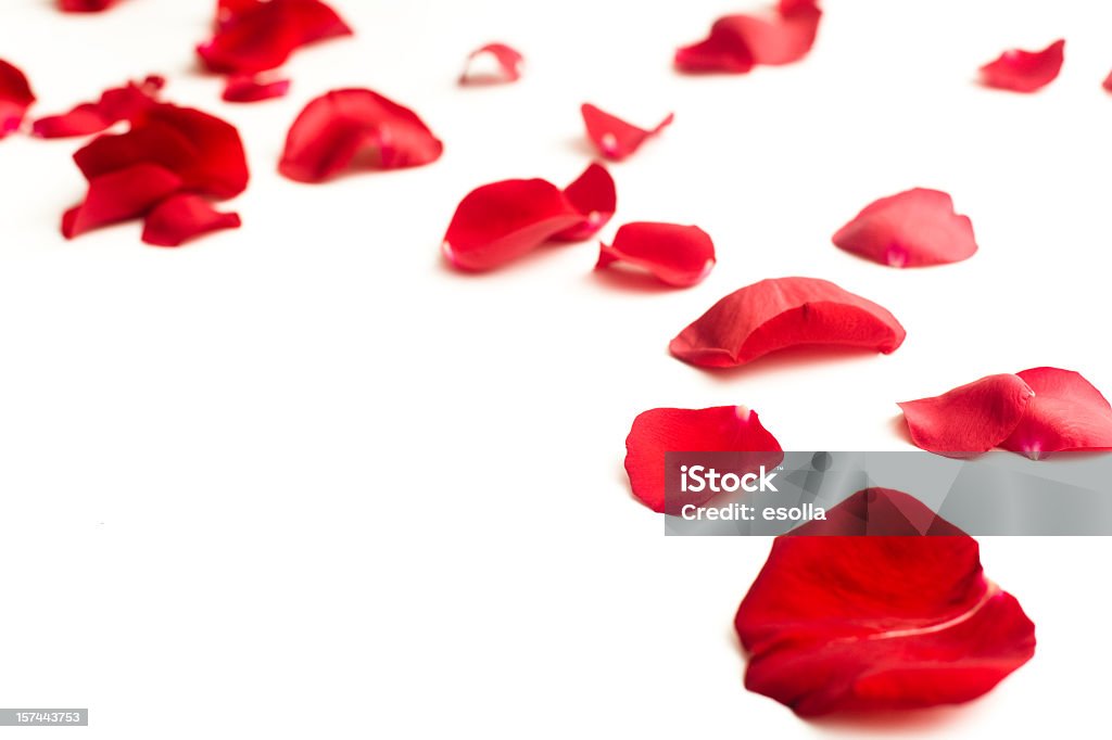 Pétalos de rosa rojas - Foto de stock de Color - Tipo de imagen libre de derechos