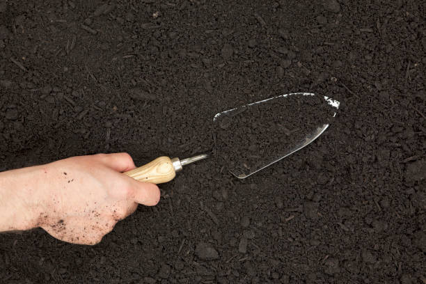 Garden Trowel in Hand with Dirt  topsoil stock pictures, royalty-free photos & images