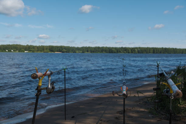 istock Fishing rod on the banks of the river against 1574439209