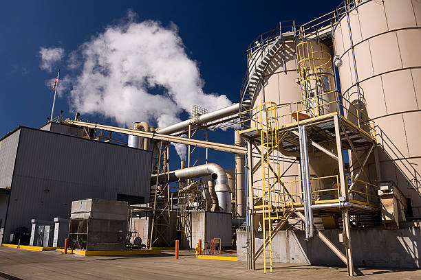 istock Plywood Manufacturing Plant 157444104