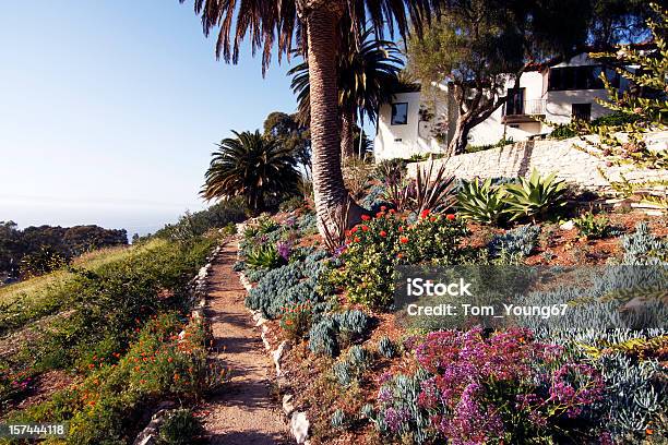 Camino De Jardín Foto de stock y más banco de imágenes de Jardín privado - Jardín privado, Planta carnosa, California