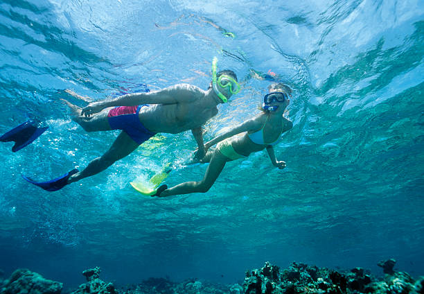 Snorkelling stock photo