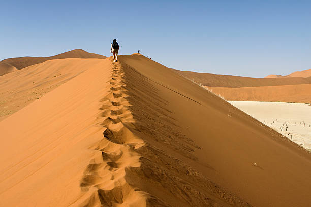 istock Hiking on the Sossusvlei Dunes, Namibia 157444191